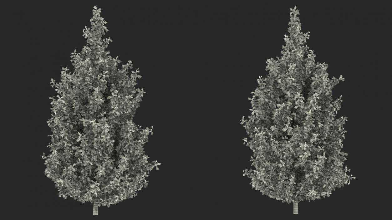 3D Holly Tree with Berries model