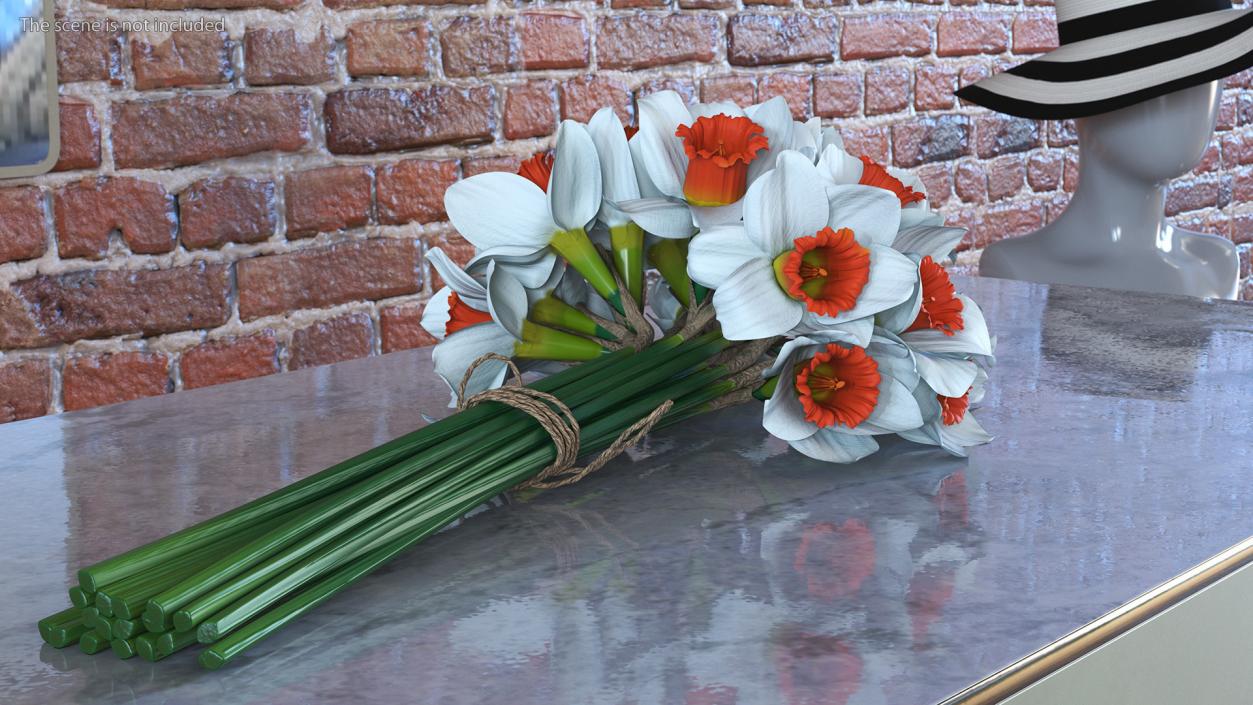 3D Bouquet of Narcissus Flowers model