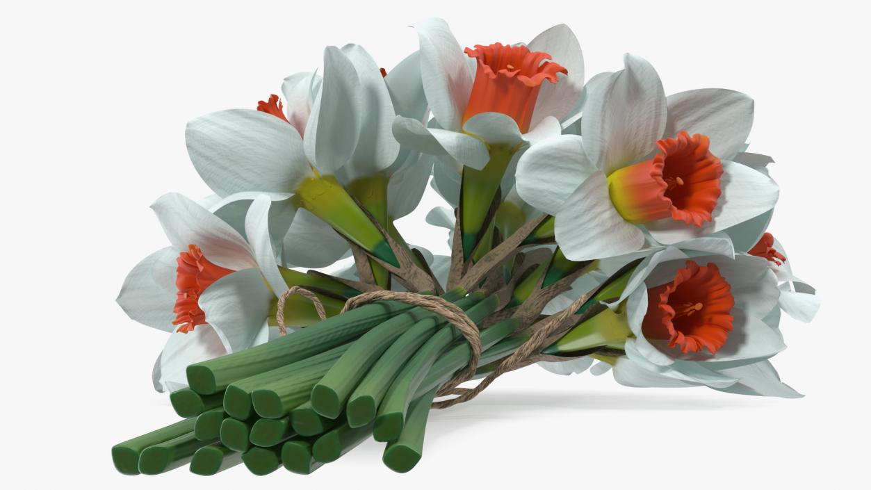 3D Bouquet of Narcissus Flowers model