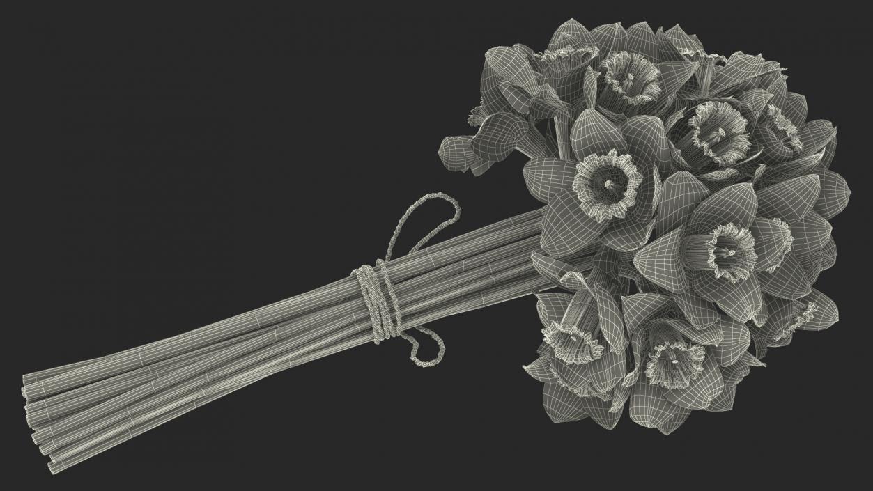 3D Bouquet of Narcissus Flowers model