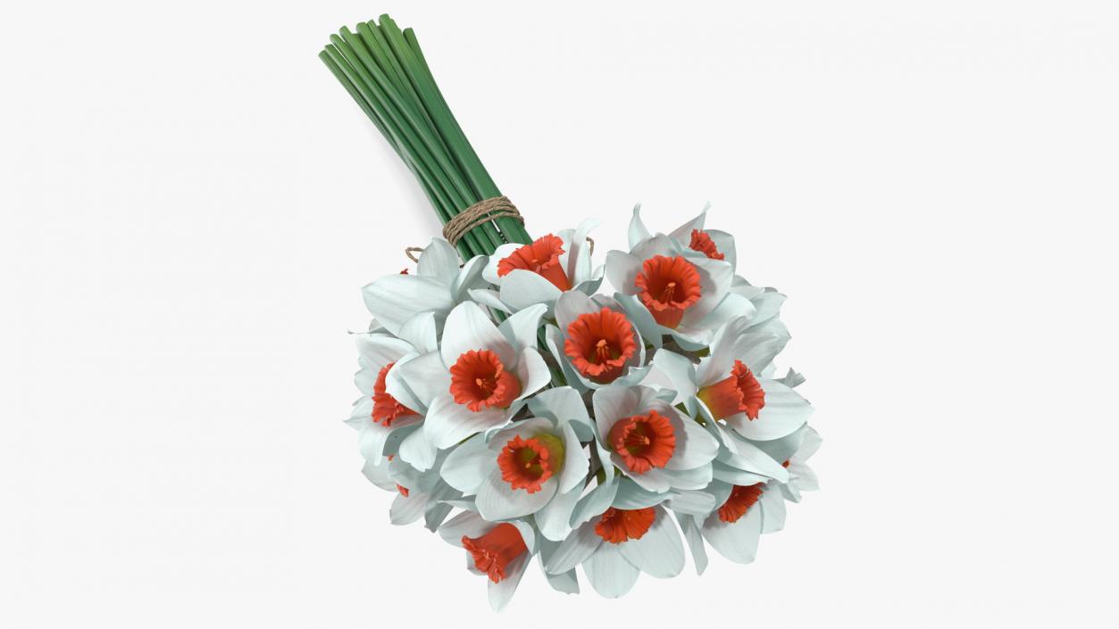 3D Bouquet of Narcissus Flowers model