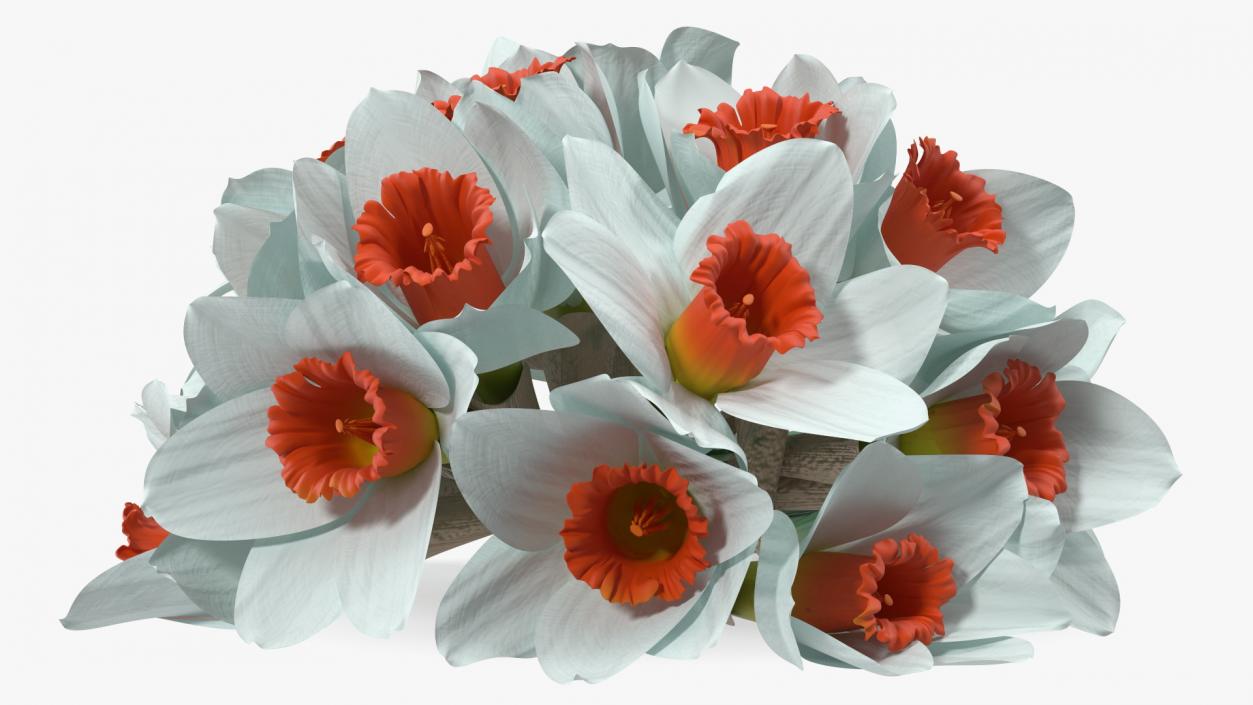 3D Bouquet of Narcissus Flowers model