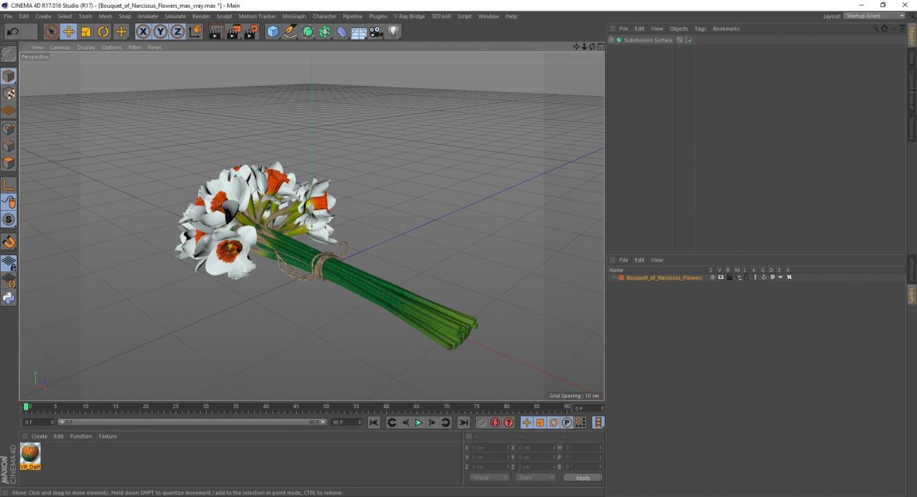 3D Bouquet of Narcissus Flowers model