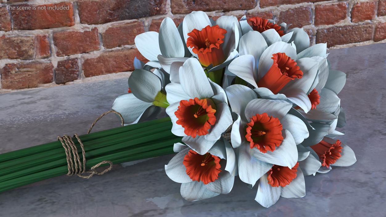 3D Bouquet of Narcissus Flowers model