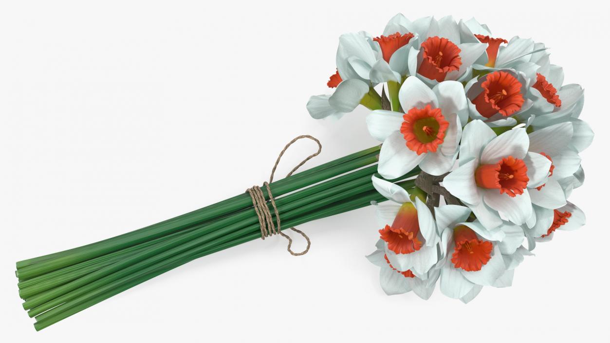 3D Bouquet of Narcissus Flowers model