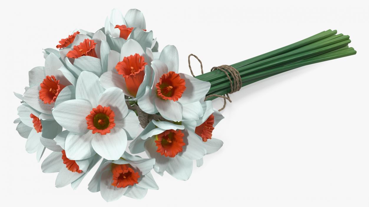 3D Bouquet of Narcissus Flowers model