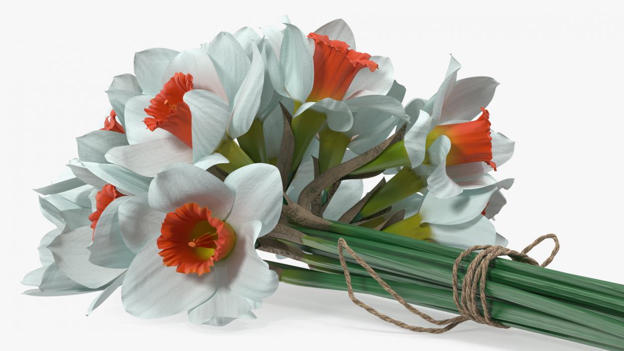 3D Bouquet of Narcissus Flowers model