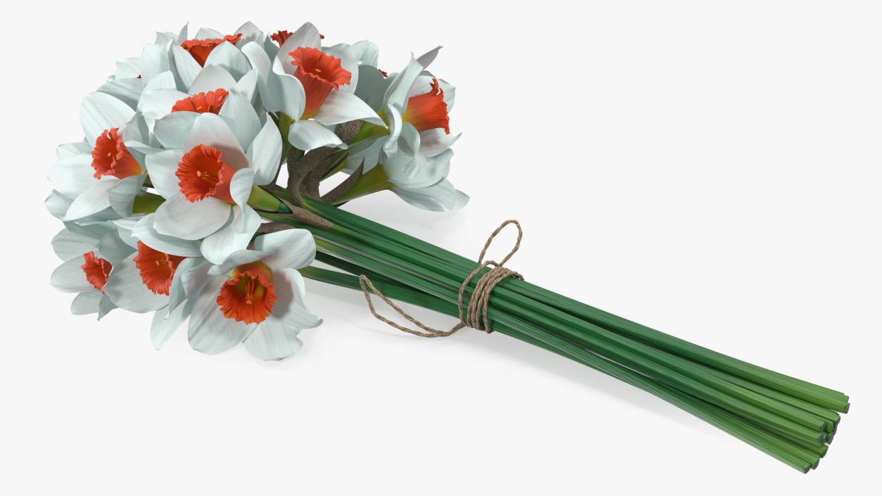 3D Bouquet of Narcissus Flowers model