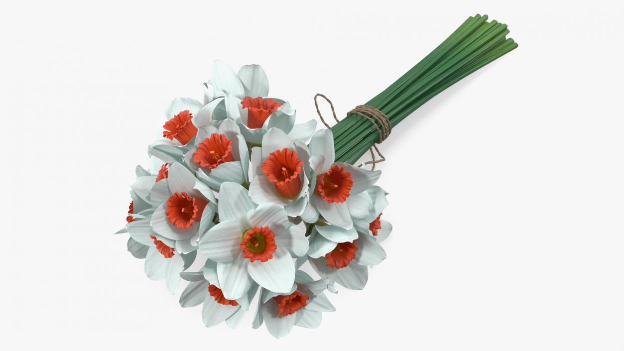 3D Bouquet of Narcissus Flowers model