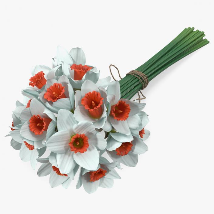 3D Bouquet of Narcissus Flowers model