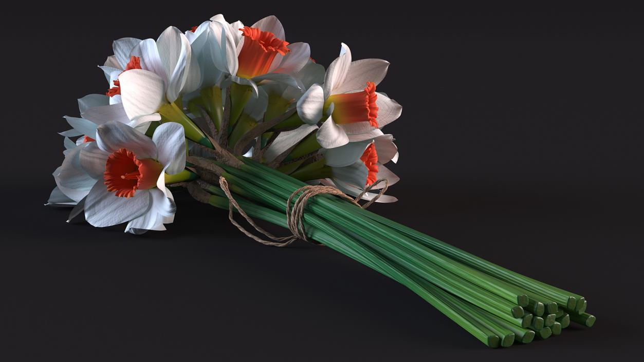 3D Bouquet of Narcissus Flowers model