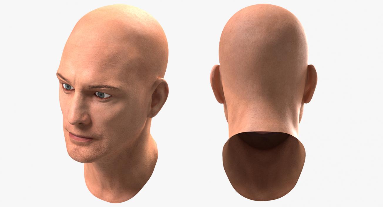 3D Male Head 6 Rigged model