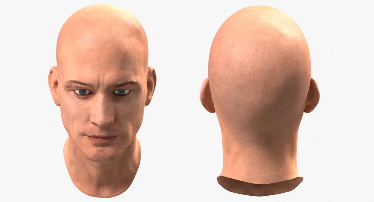 3D Male Head 6 Rigged model