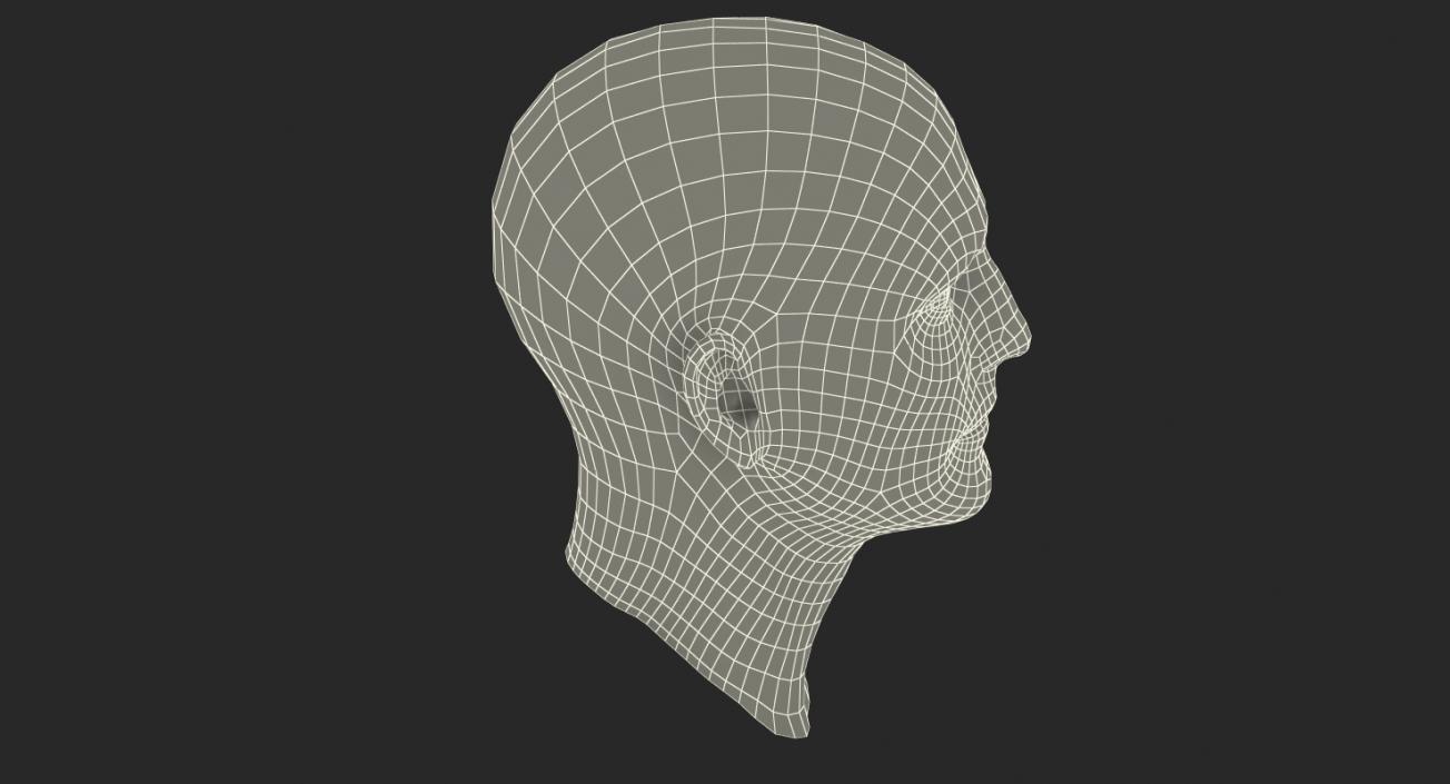 3D Male Head 6 Rigged model