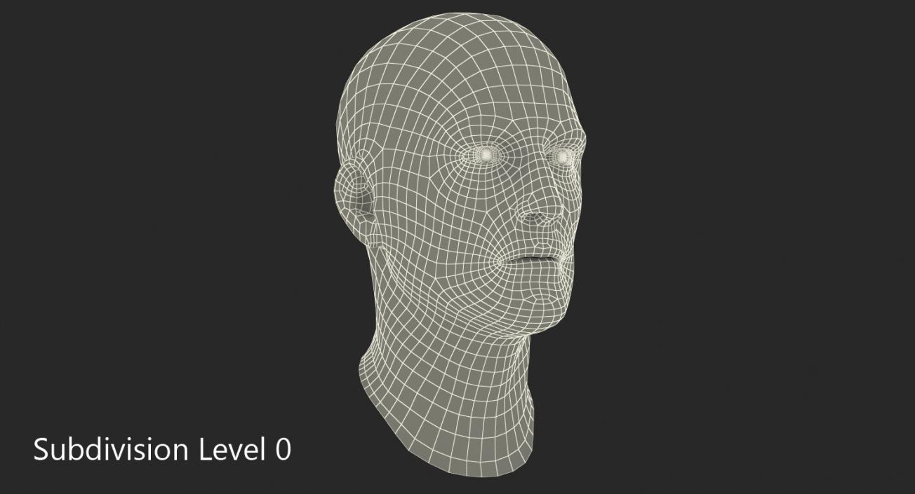 3D Male Head 6 Rigged model