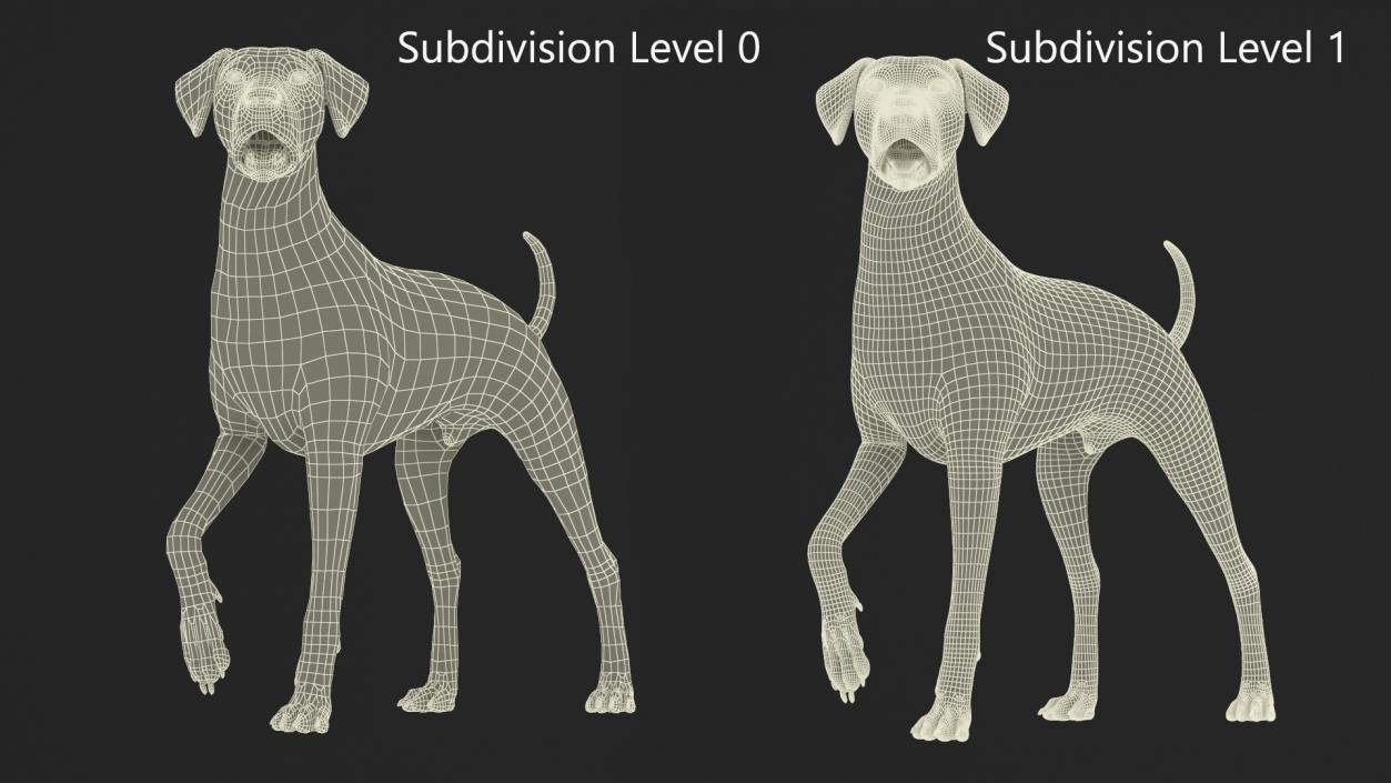 3D Dalmatian Dog Standing Pose Fur