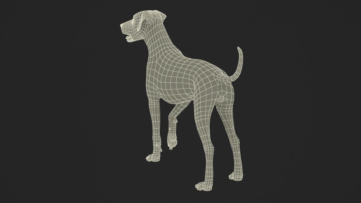 3D Dalmatian Dog Standing Pose Fur