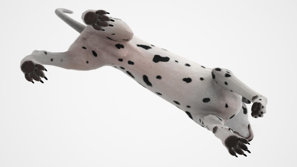 3D Dalmatian Dog Standing Pose Fur