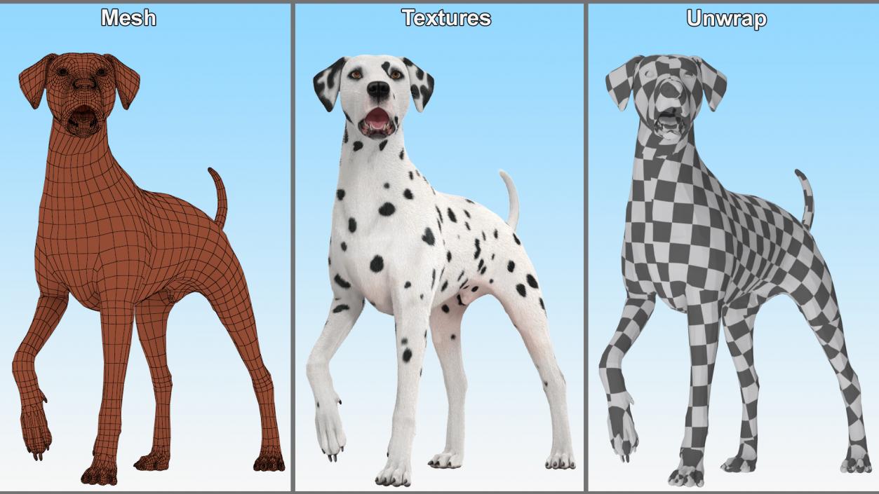 3D Dalmatian Dog Standing Pose Fur