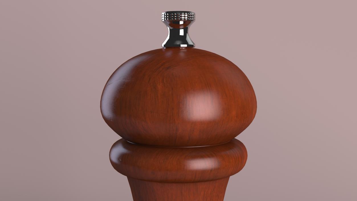 Wooden Salt and Pepper Mill 3D