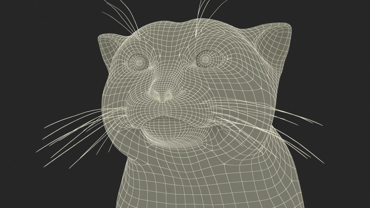 3D Pallas Cat Fur Rigged