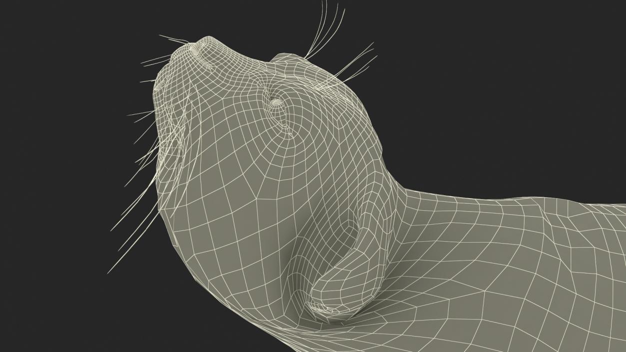 3D Pallas Cat Fur Rigged