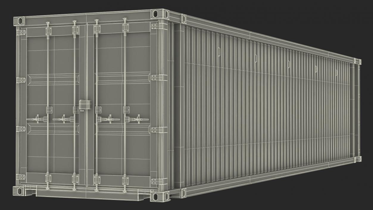 3D High Cube Cargo Worthy Shipping Container 45FT