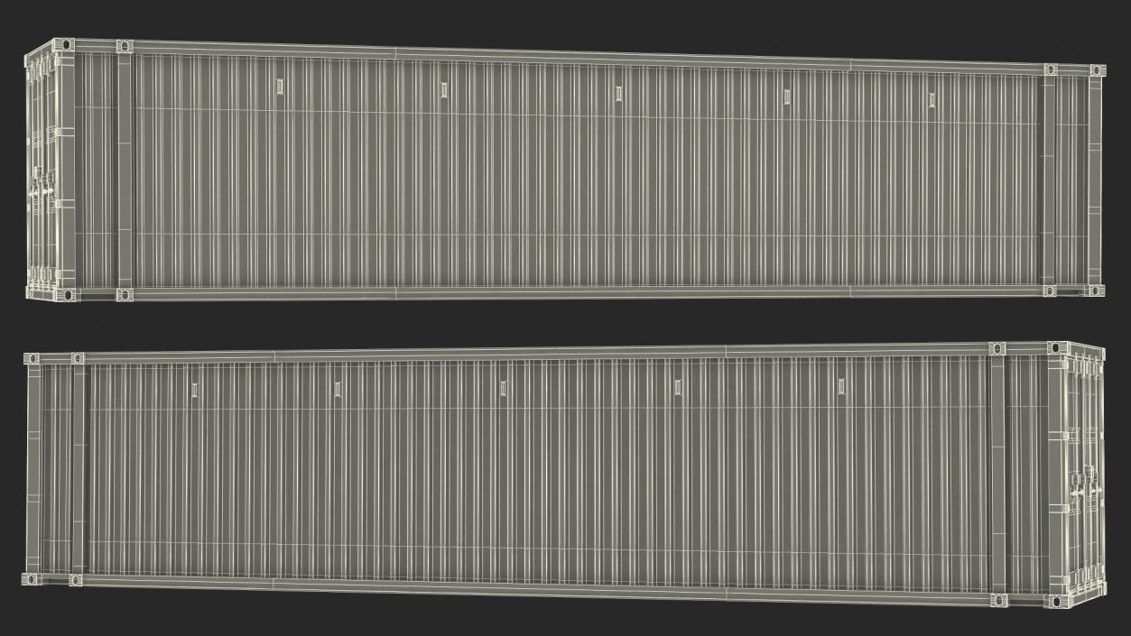 3D High Cube Cargo Worthy Shipping Container 45FT