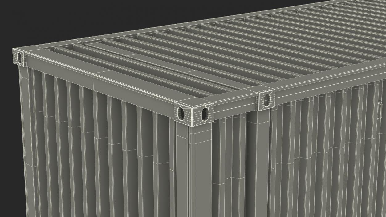 3D High Cube Cargo Worthy Shipping Container 45FT