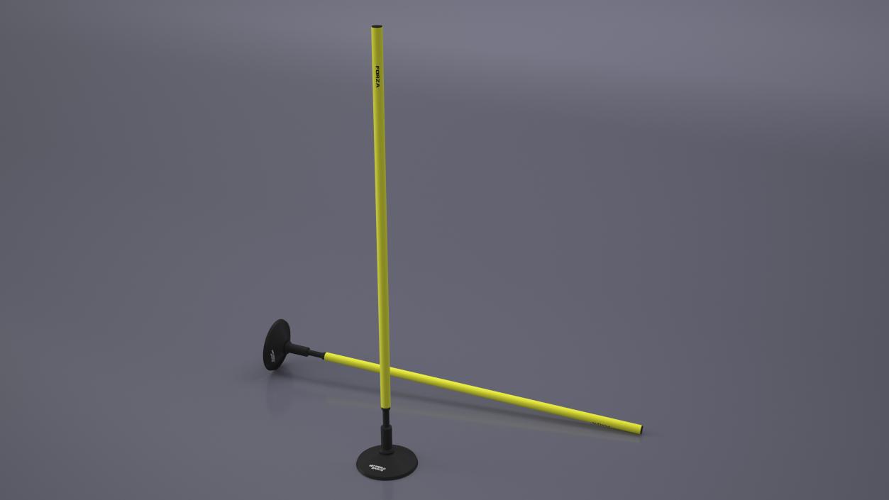 Slalom Pole With Base Forza 3D