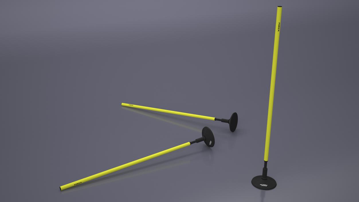 Slalom Pole With Base Forza 3D