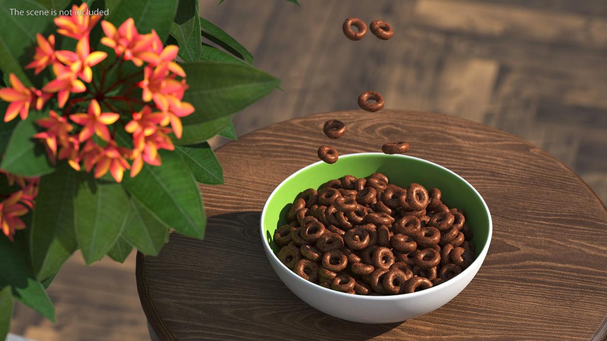 3D Chocolate Rings with Plate