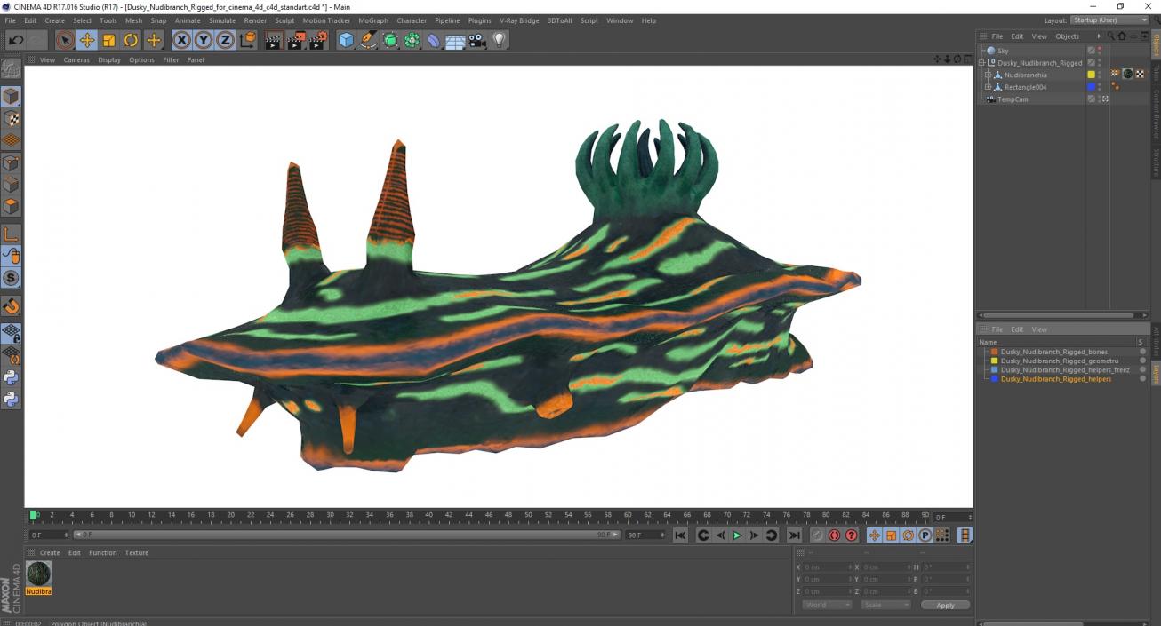 Dusky Nudibranch Rigged for Cinema 4D 3D