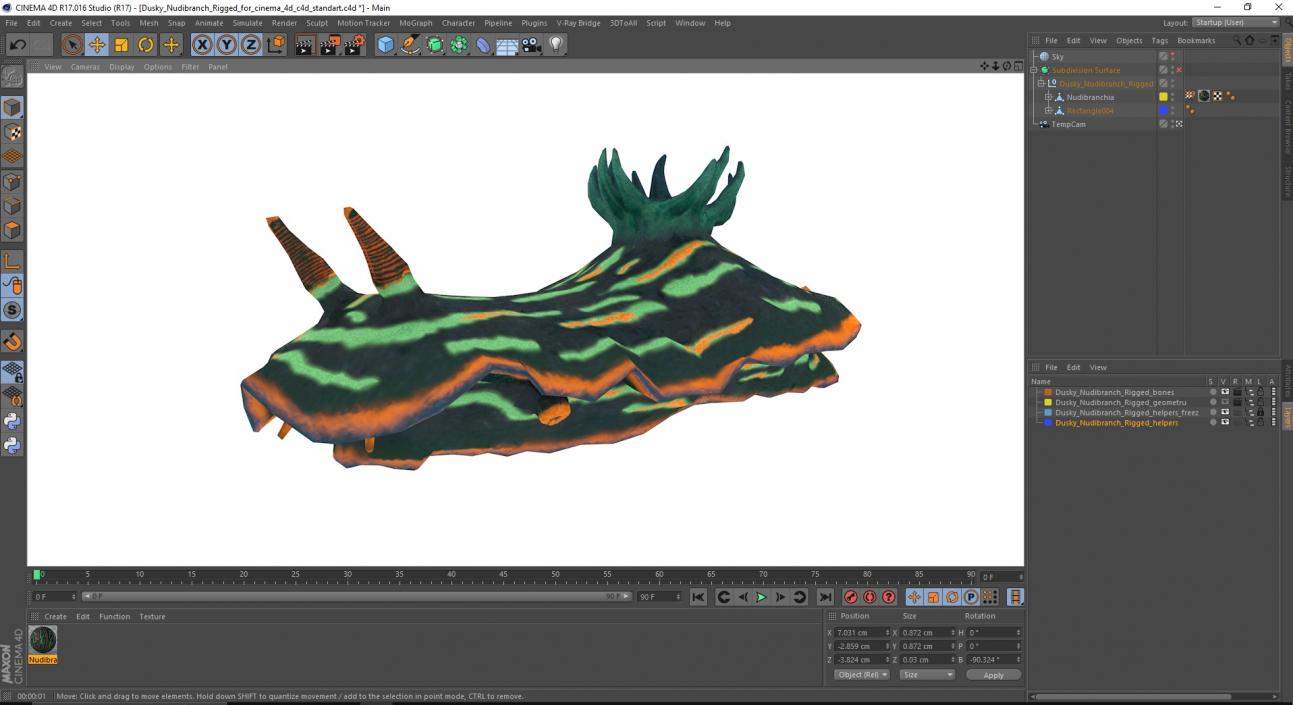 Dusky Nudibranch Rigged for Cinema 4D 3D