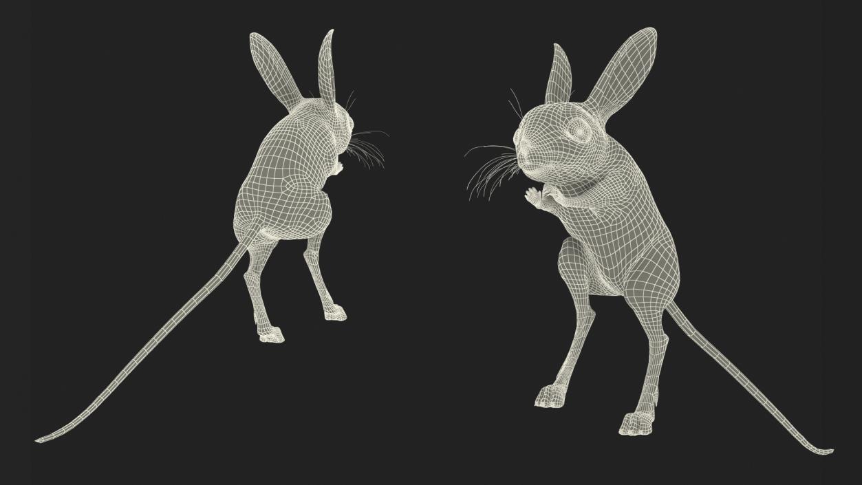 3D Jumping Jerboa Fur model