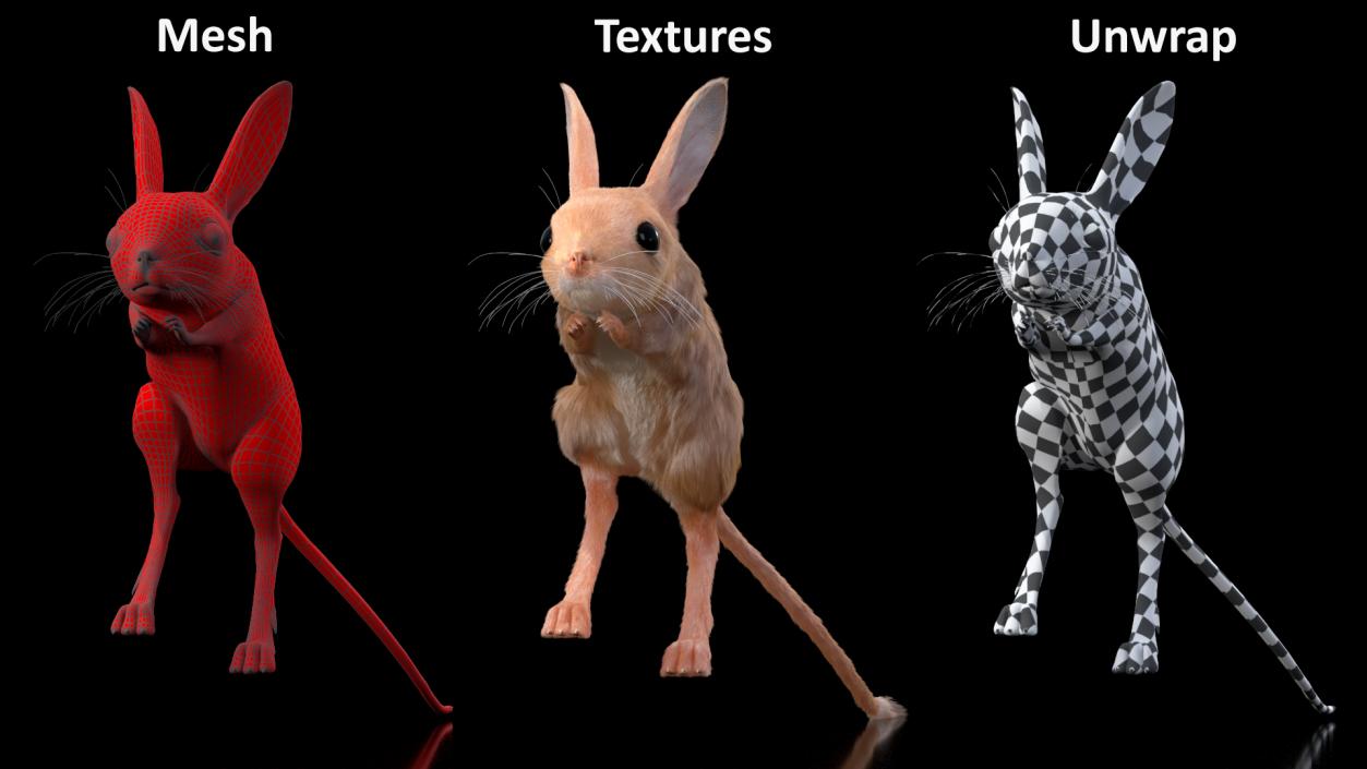 3D Jumping Jerboa Fur model