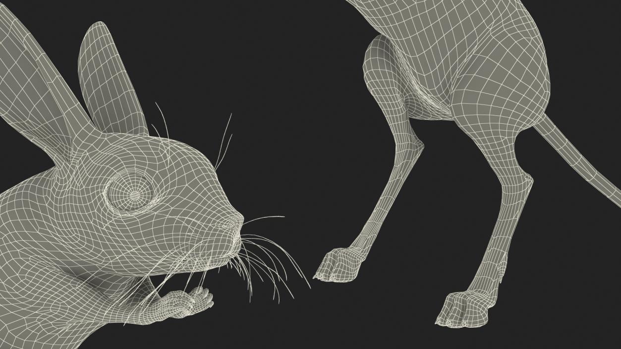 3D Jumping Jerboa Fur model