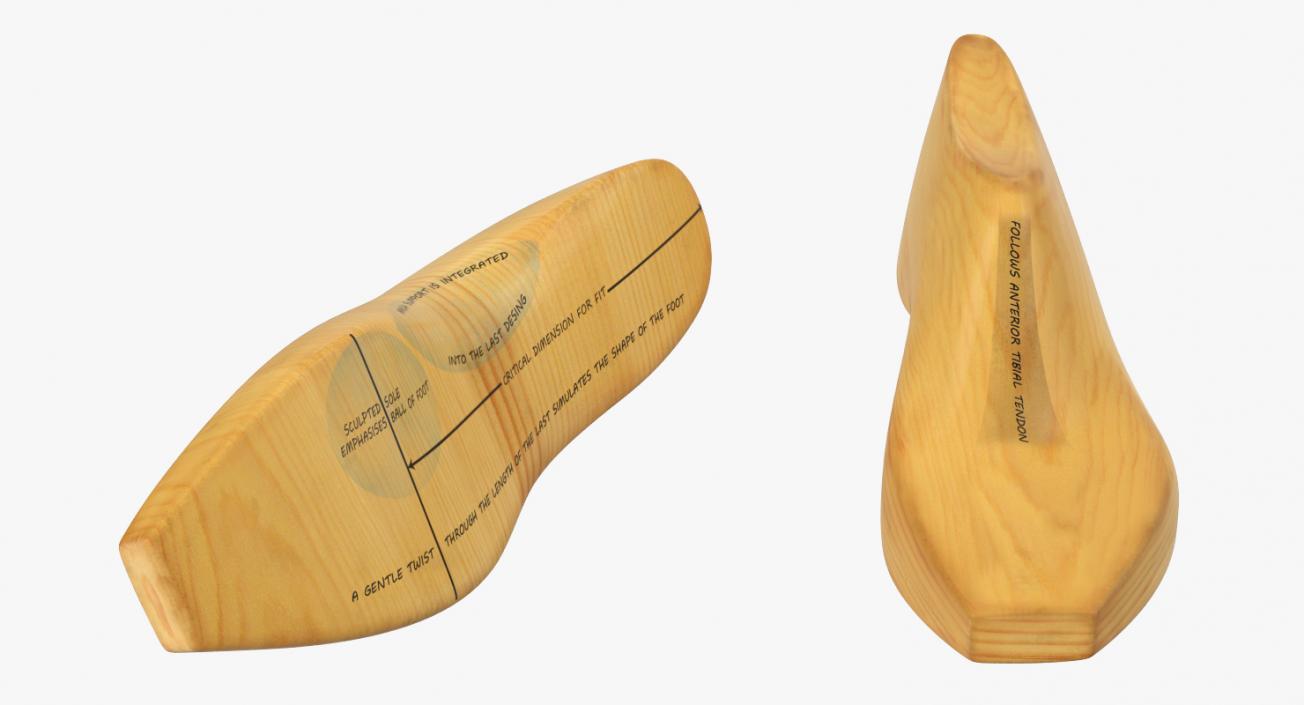 Antique Wooden Shoe Last 3D model