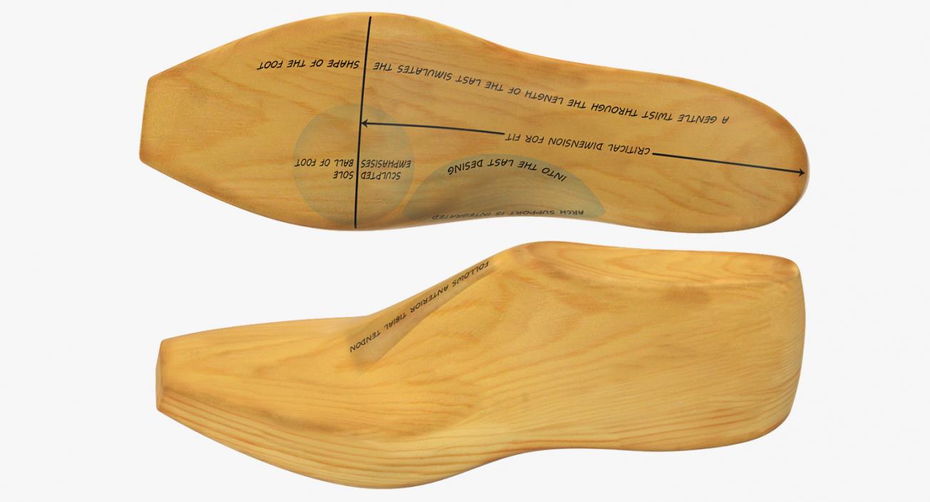 Antique Wooden Shoe Last 3D model