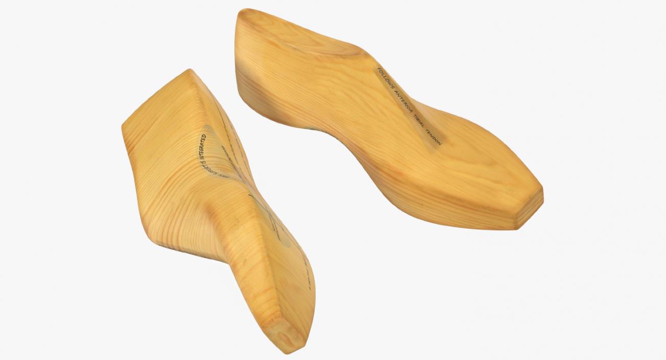 Antique Wooden Shoe Last 3D model