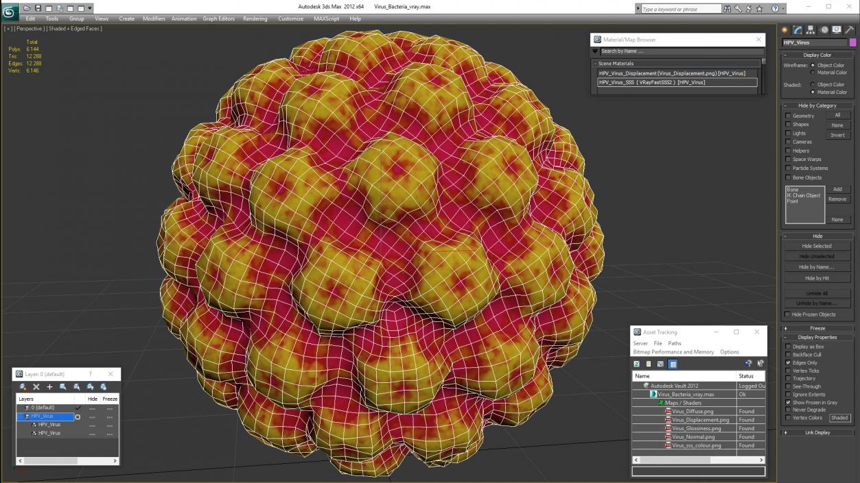 Virus Bacteria 3D model