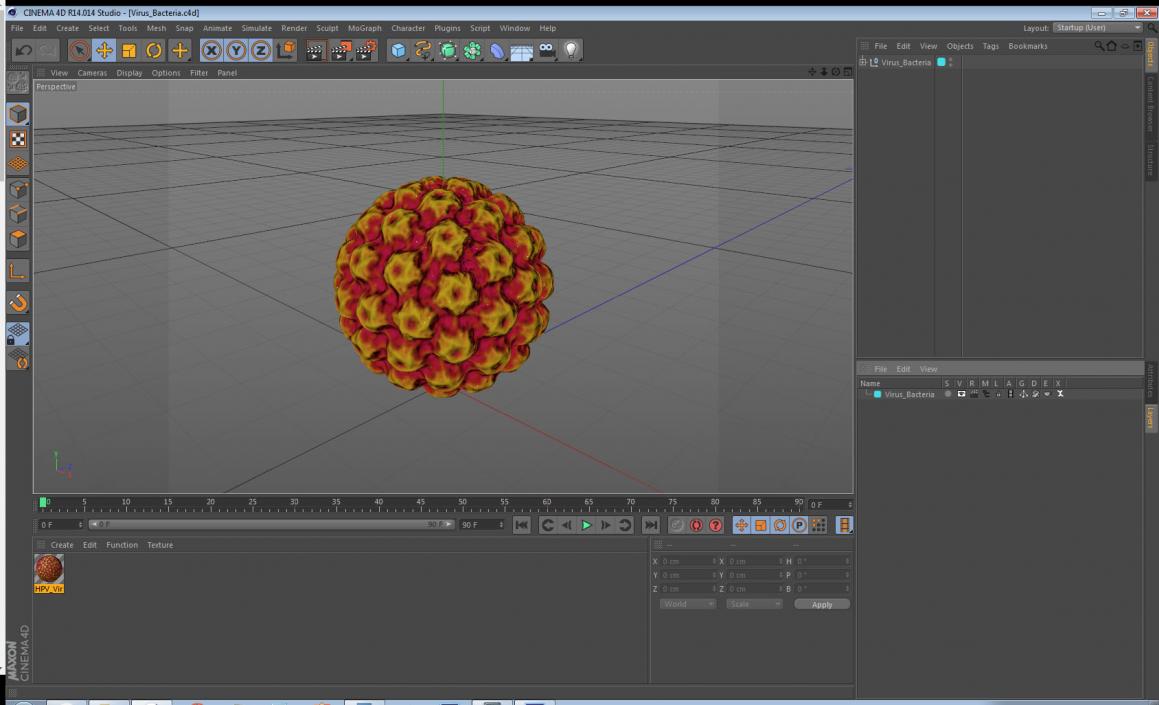 Virus Bacteria 3D model