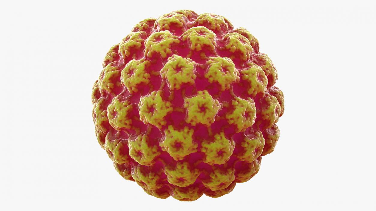 Virus Bacteria 3D model