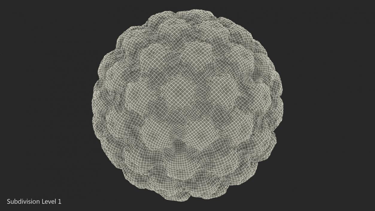 Virus Bacteria 3D model