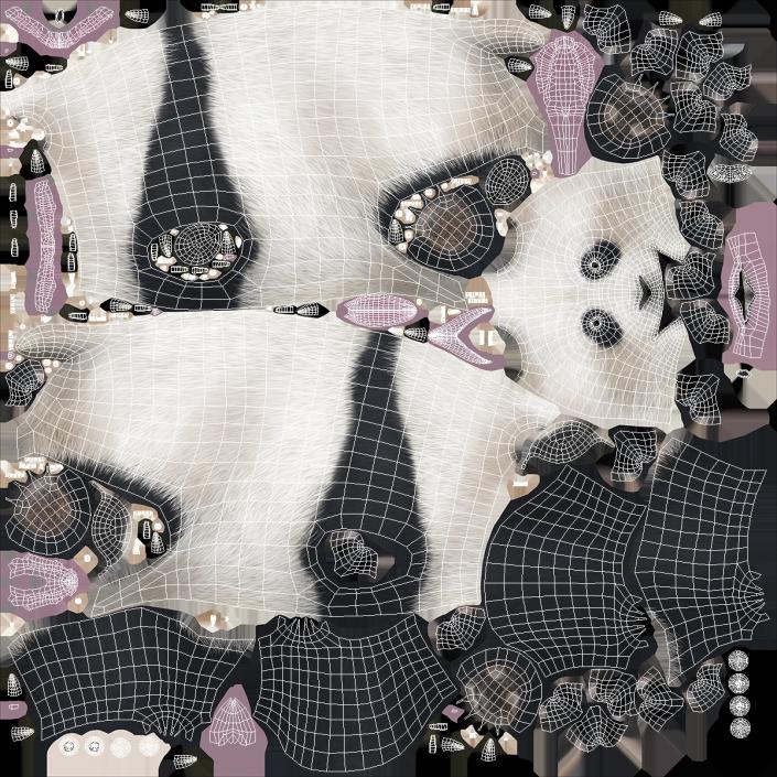 3D model Giant Panda Fur