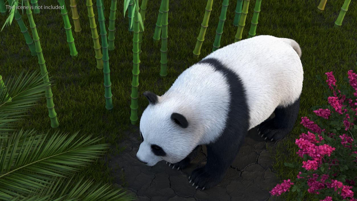 3D model Giant Panda Fur