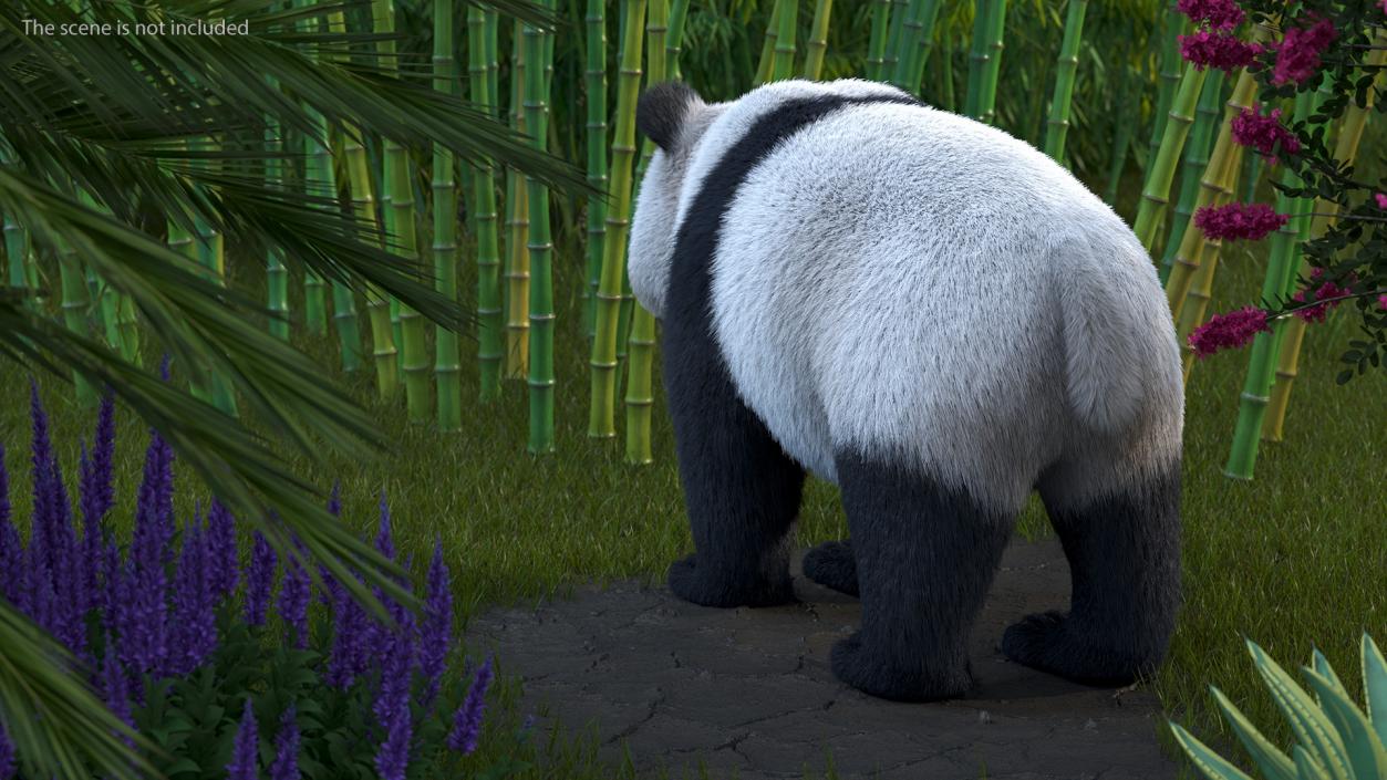 3D model Giant Panda Fur