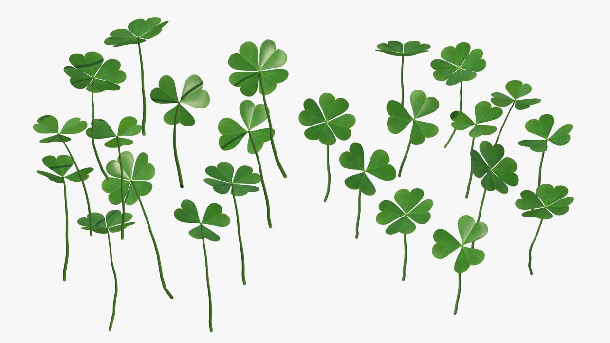 3D Green Clover Field model