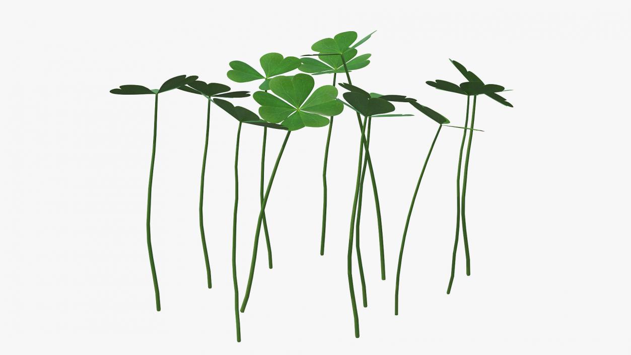 3D Green Clover Field model