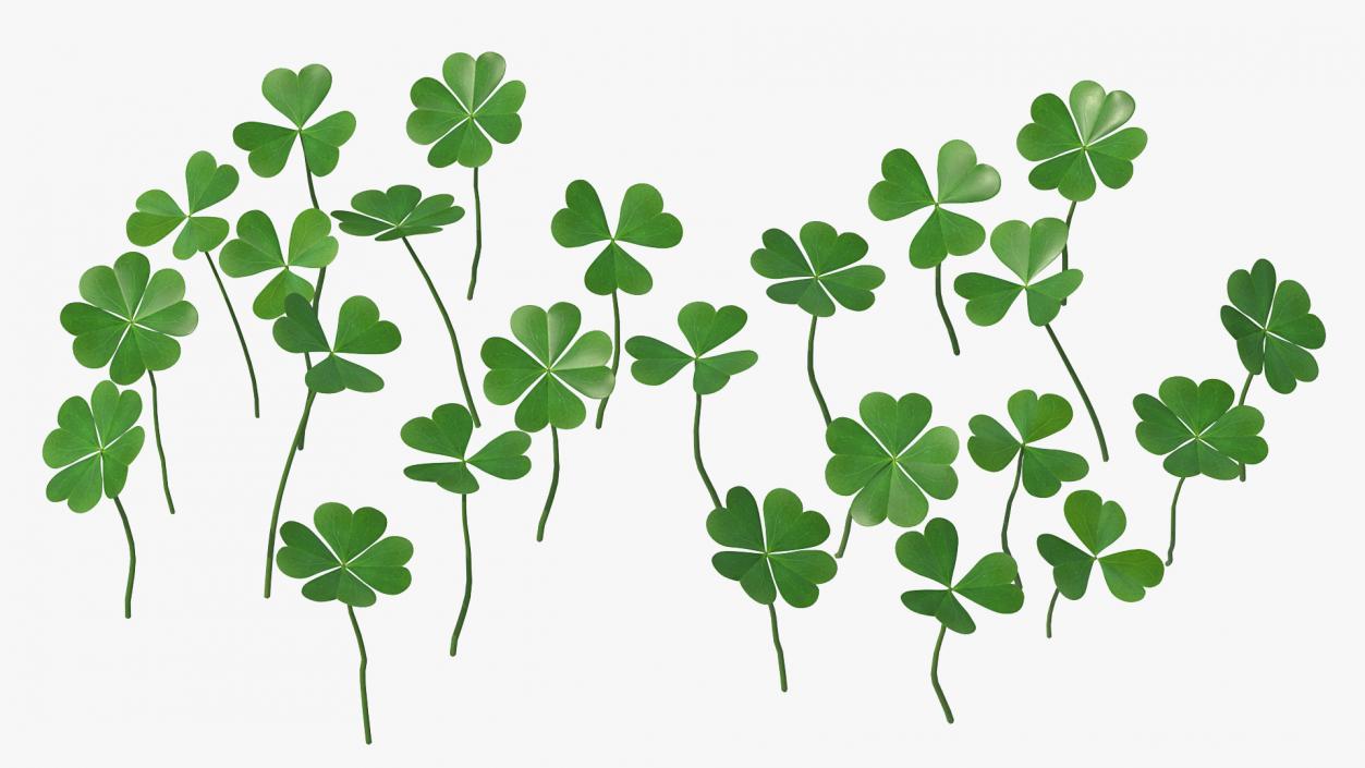 3D Green Clover Field model